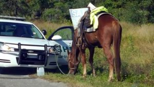 Florida DUI Laws