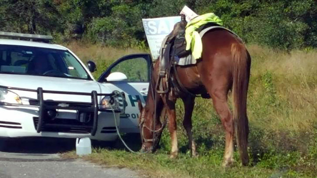 Florida DUI Laws